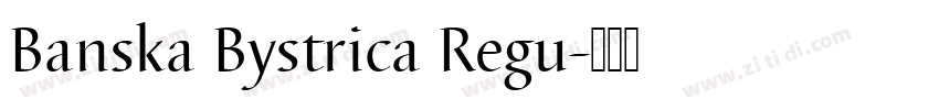 Banska Bystrica Regu字体转换
